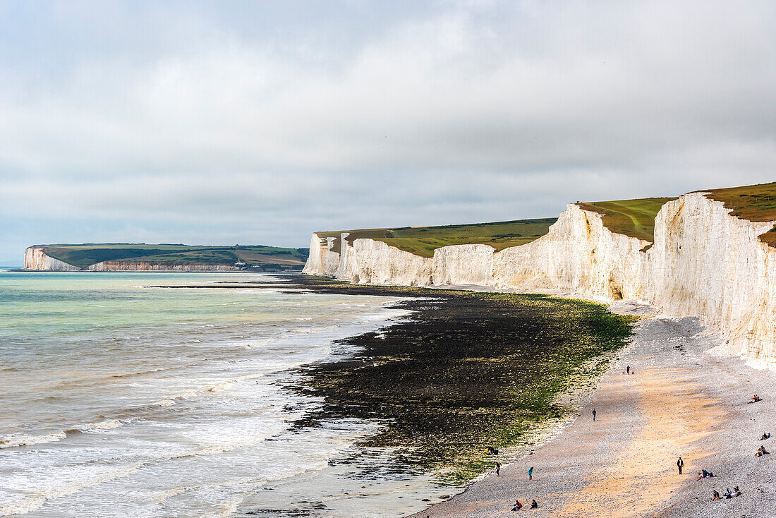 Seven Sisters chalk cliffs on the English south coast between Seaford and Eastbourne, West Sussex, England, United Kingdom