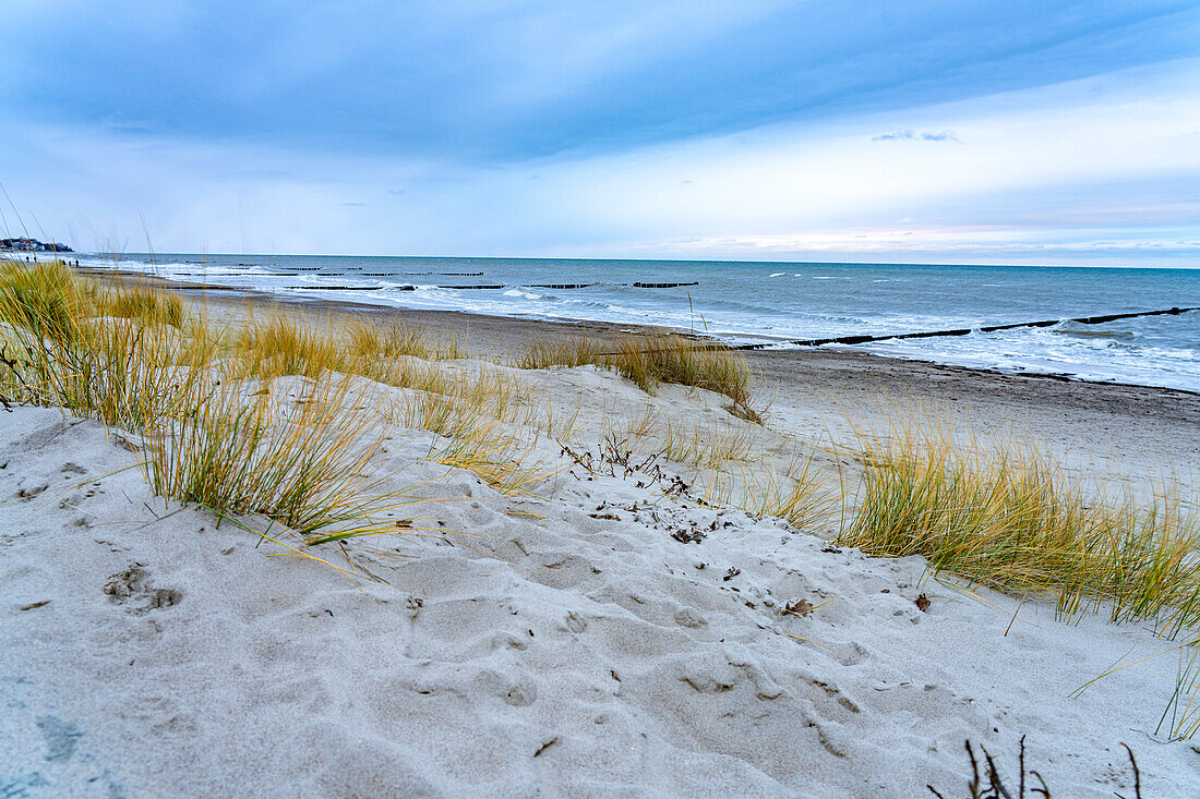  Dunes on the beach of the Baltic Sea resort of Kühlungsborn in winter, Mecklenburg-Western Pomerania, Germany\n\n\n 