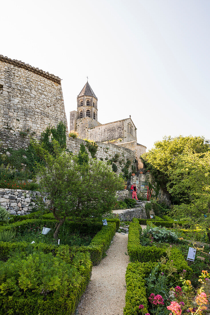 Herb garden, La Garde-Adhémar, Plus beaux villages de France, Drôme department, Provence, Auvergne-Rhône-Alpes, France