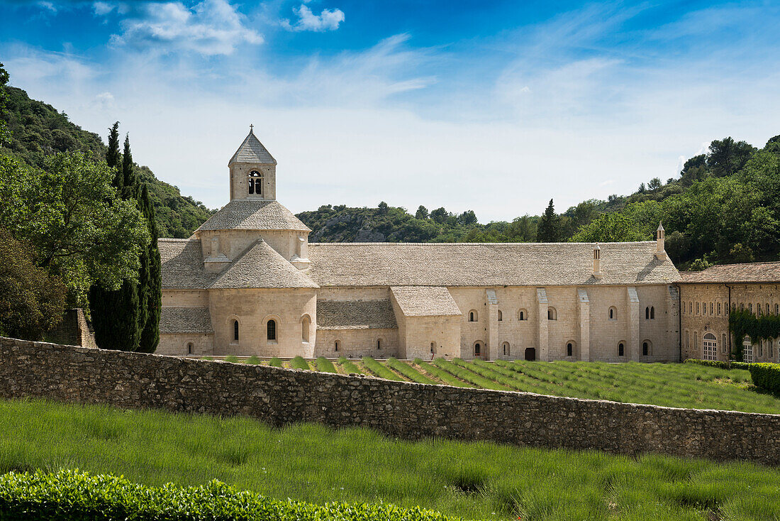 Zisterzienserabtei Abbaye Notre-Dame de Sénanque, mit Lavendelfeld, bei Gordes, Vaucluse, Provence, Provence-Alpes-Côte d'Azur, Frankreich