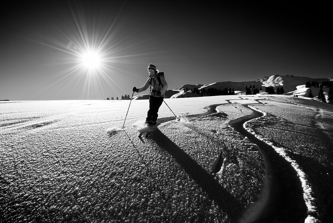 Woman on ski tour skiing through powder snow with hoarfrost, Bleicherhorn, Allgäu Alps, Swabia, Bavaria, Germany
