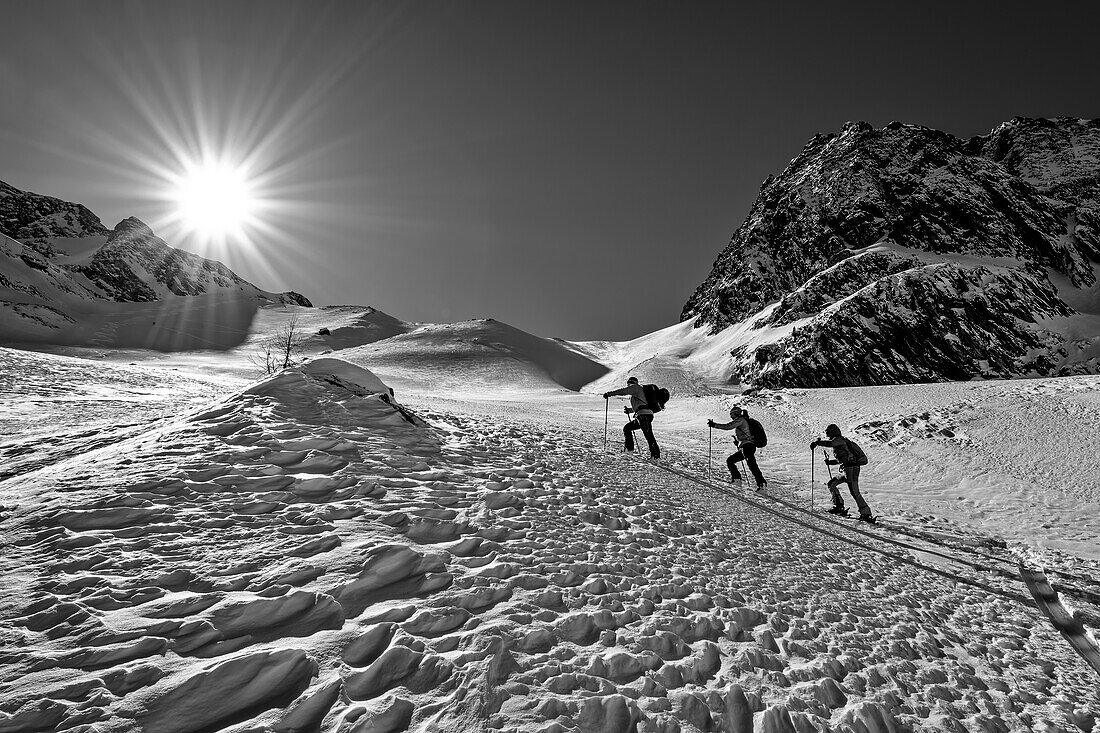 Drei Personen auf Skitour steigen durch Windgangeln im Höllensteinkar auf, Zillertaler Alpen, Naturpark Zillertaler Alpen, Tirol, Österreich