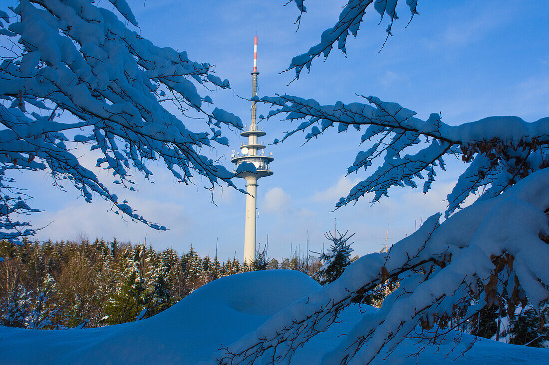 Winter in the Augsburger Land, at the Bonstetten radio tower, Bavaria, Germany