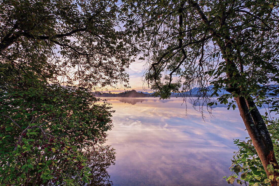 Bei Sonnenaufgang am Staffelsee im Herbst, Uffing, Bayern, Deutschland, Europa