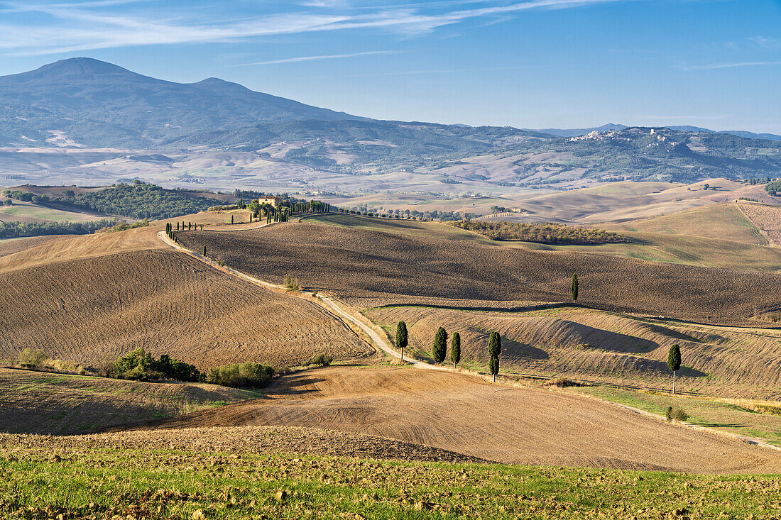 Autumn morning near Pienza, Gladiator Photo Spot, Tuscany, Italy, Europe