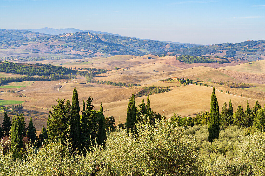 Autumn morning below Pienza, Gladiator Photo Spot, Tuscany, Italy, Europe