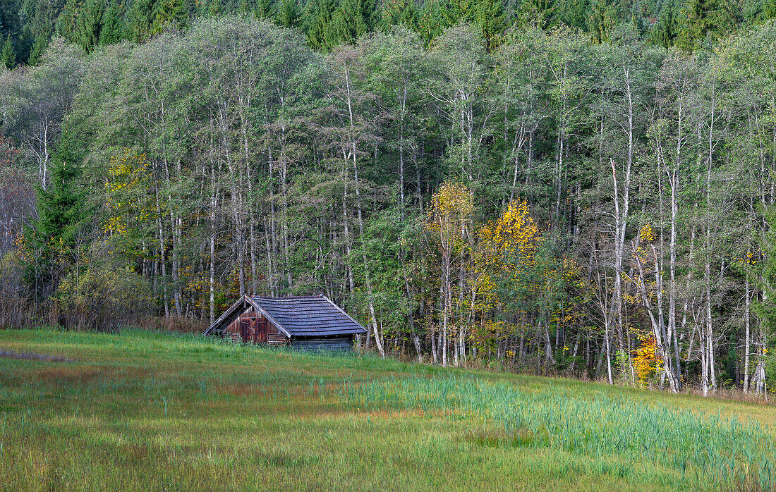 Aalte field barn in the moor, Krün, Upper Bavaria, Bavaria, Germany