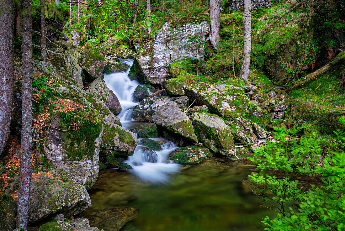 Am Rissbach near Bodenmais, Bavarian Forest, Bavaria, Germany, Europe