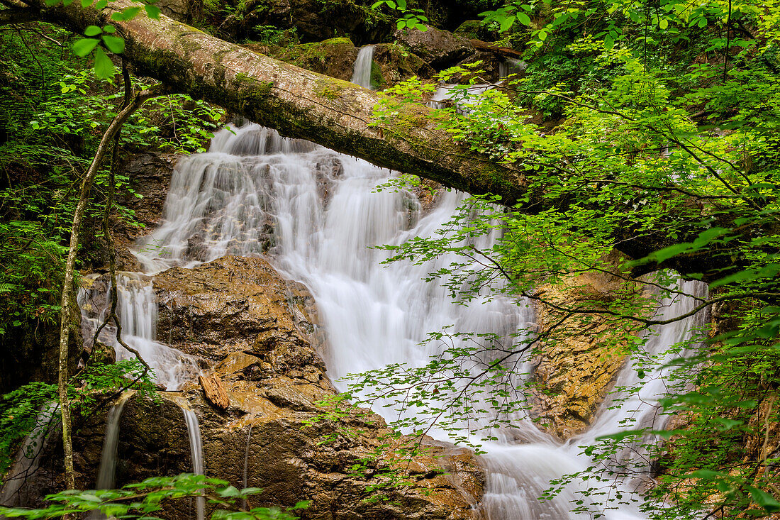 Wasserfall im Sommer am Lainbach, Kochel am See, Deutschland