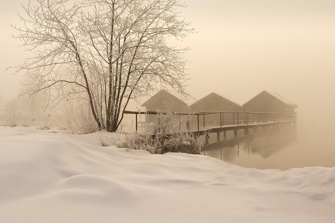 Die Fischerhäuser von Schlehdorf an einem nebligen Wintermorgen, Oberbayern, Bayern, Deutschland, Europa