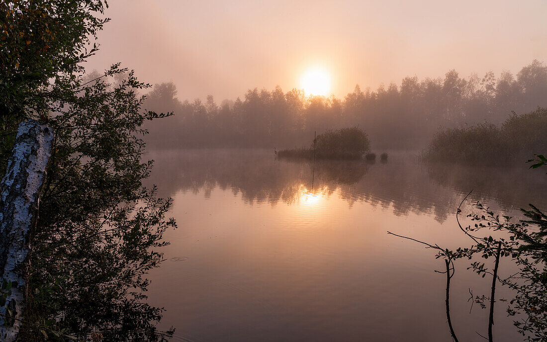  Idyllic sunrise in the Weiheimer Moos in autumn, Weilheim, Bavaria, Germany; Europe 