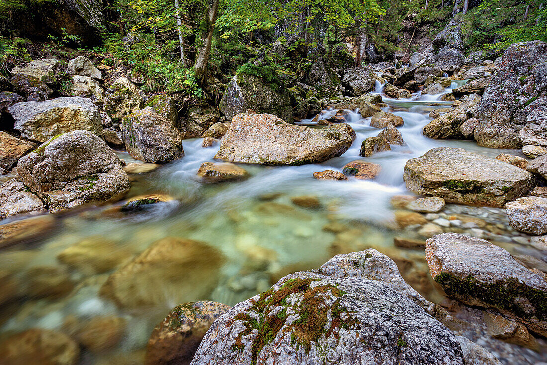 Bach in der Pöllatschlucht, Ammergebirge, Allgäu, Bayern, Deutschland, Europa