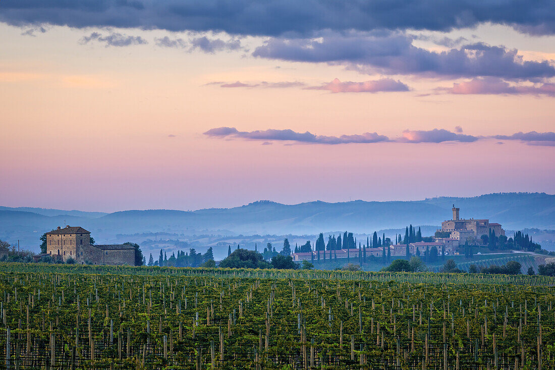  Castello Banfi in the early morning, Province of Grosseto, Tuscany, Italy 