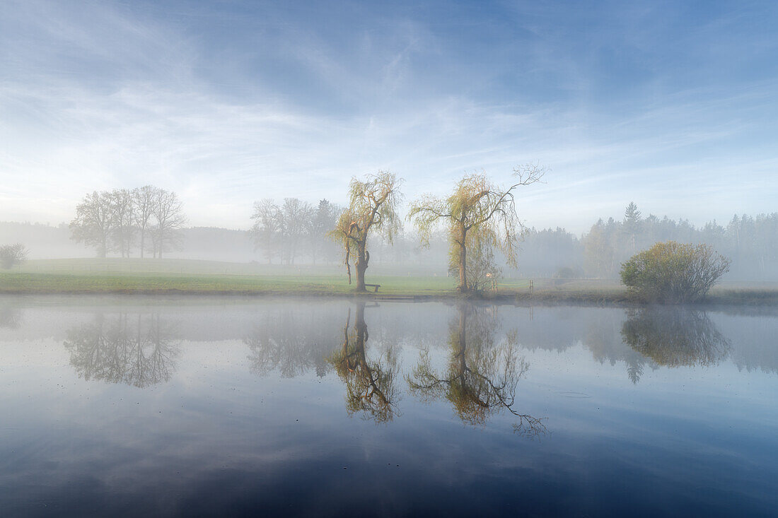 Morgennebel im Herbst bei Habach, Bayern, Deutschland