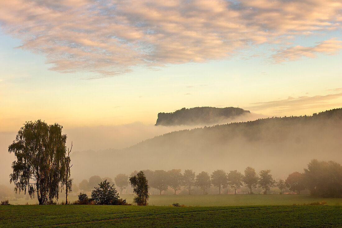 Nebelmorgen an der Ach, Uffing, Staffelsee, Oberbayern, Bayern, Deutschland