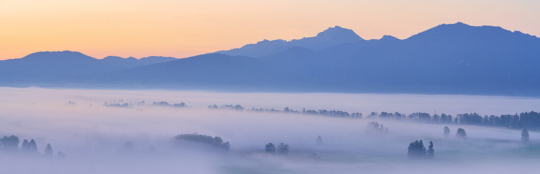  Foggy morning in Kochelmoos in September, Sindesldorf, Großweil, Bavaria, Germany 