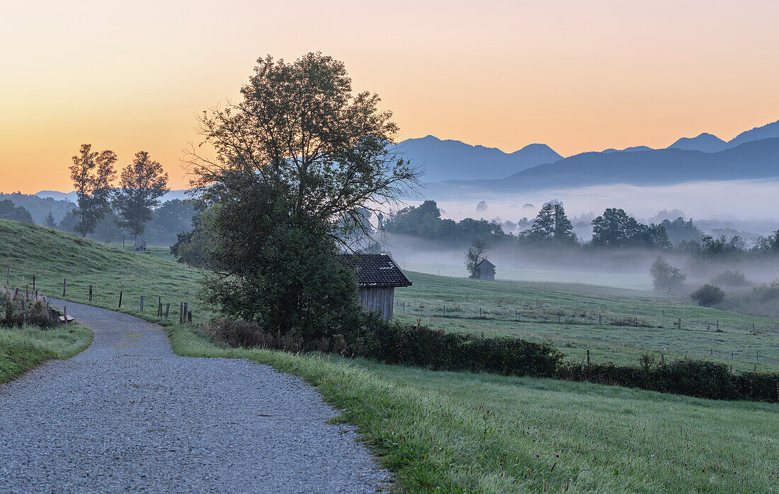 Morgennebel im Murnauer Moos im Herbst, Murnau, Bayern, Deutschland, Europa