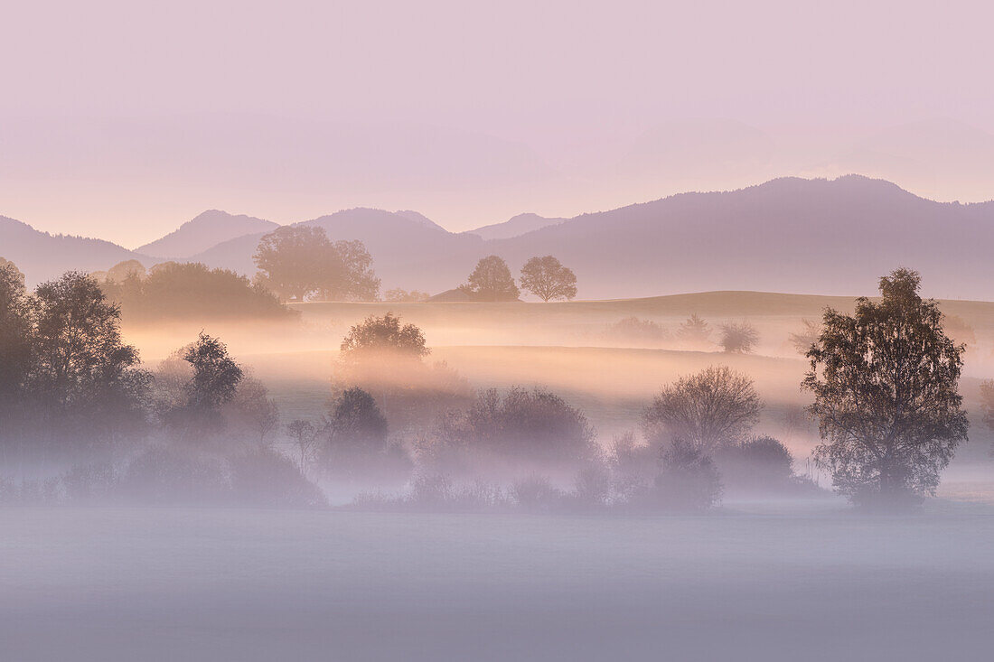  Foggy morning near Habach, Bavaria, Germany 