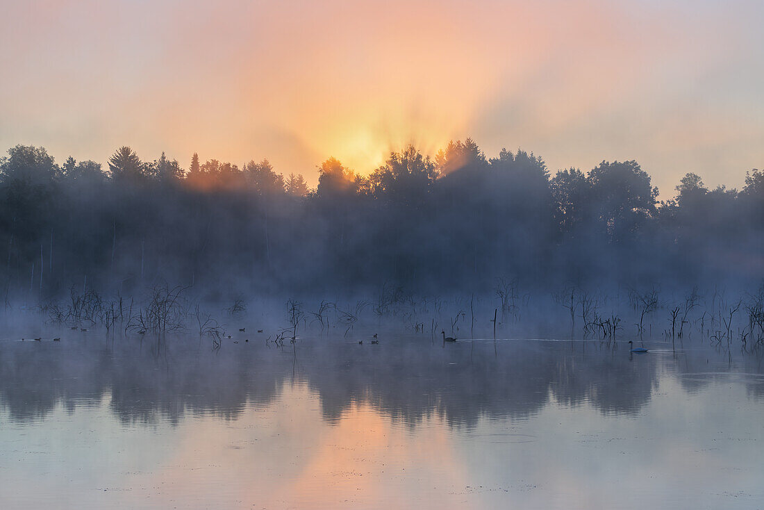  Sunrise in the Weiheimer Moos in autumn, Weilheim, Bavaria, Germany, Europe 