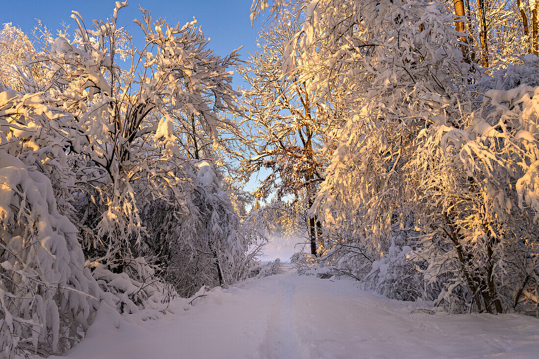   Winter in the Weilheimer Moos, Weilheim, Bavaria, Germany, Europe 