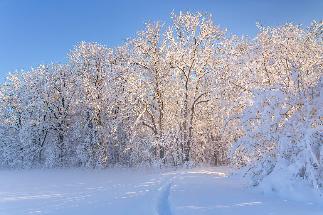   Winter in the Weilheimer Moos, Weilheim, Bavaria, Germany, Europe 