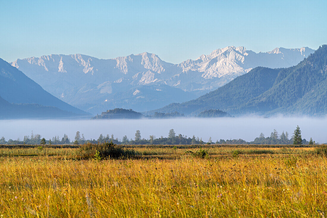  Early autumn morning in Murnauer Moos, Murnau, Bavaria, Germany, Europe 