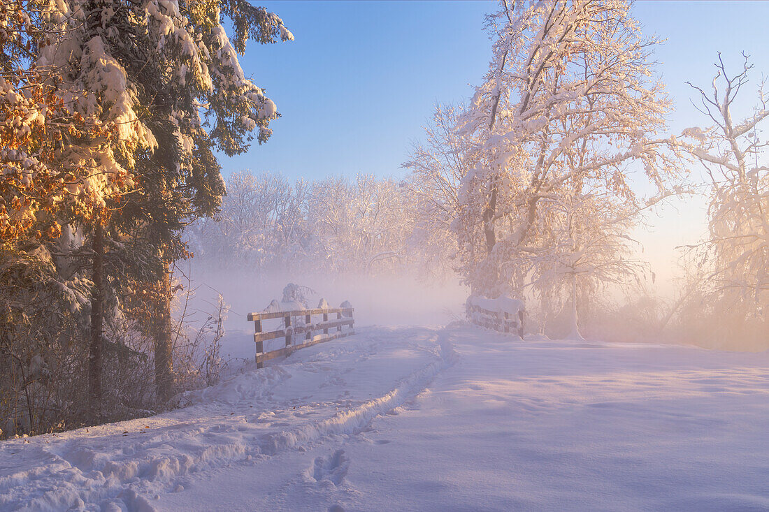 Winter im Weilheimer Moos, Weilheim, Bayern, Deutschland, Europa