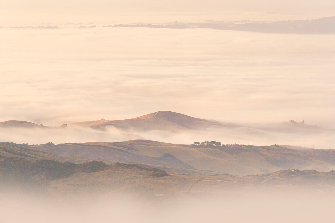 Nebelmorgen, unterhalb von Radicofani, Provinz Siena, Toskana, Italien  