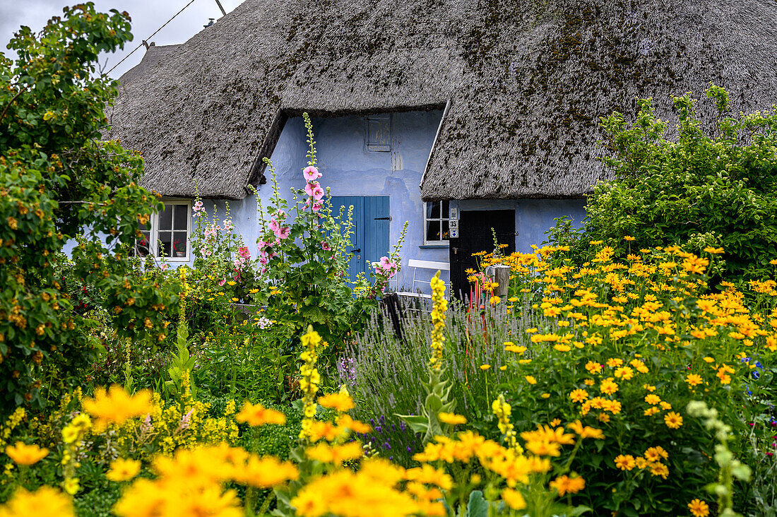  Parish widow&#39;s house in Gross Zwicker, Mönchgut, Rügen, Baltic Sea Coast, Mecklenburg Western Pomerania Baltic Sea Coast, Mecklenburg Western Pomerania, Germany 