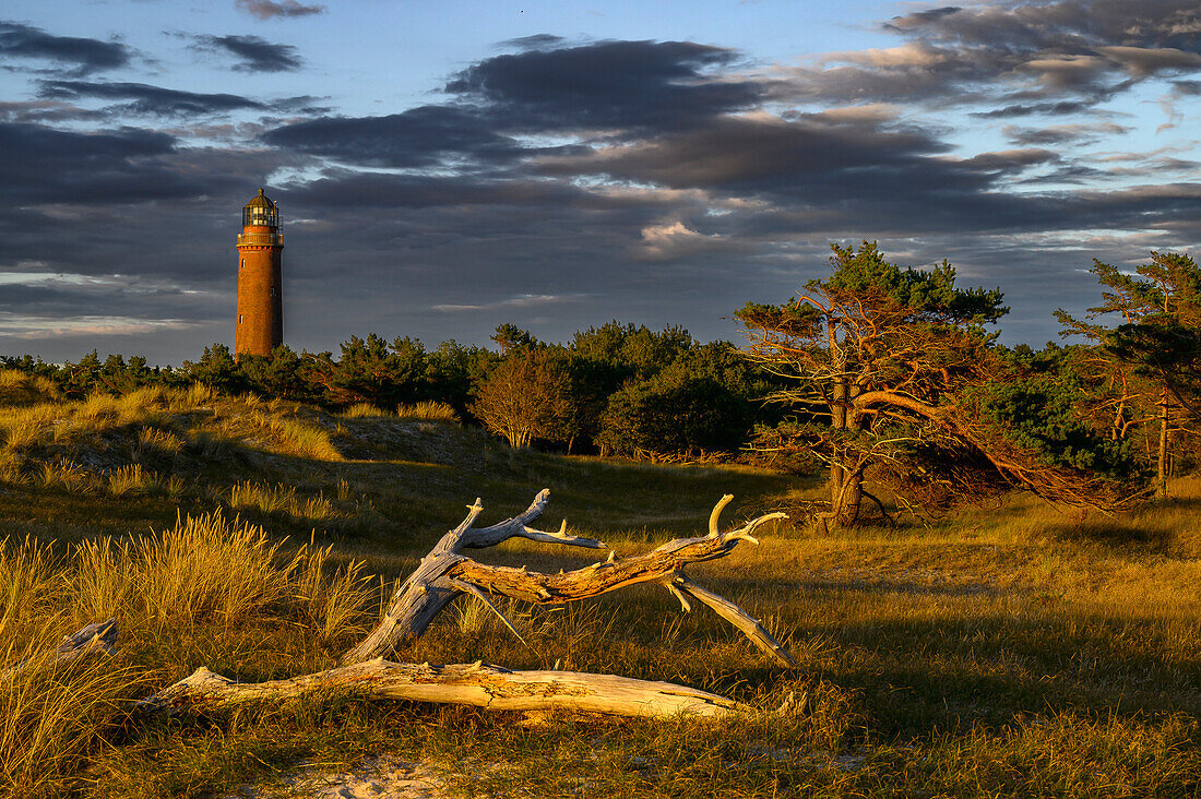  Darßer Ort lighthouse, Darsser Ort, nature, Baltic Sea coast, Mecklenburg-Western Pomerania, Germany 