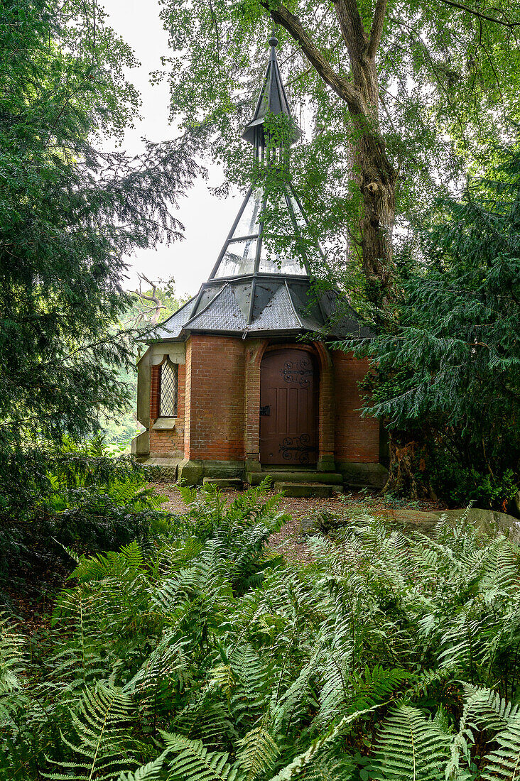 Parkanlage Arboretum, Botanischer Garten vom Schloss Kalkhorst, Klützerwinkel, Ostseeküste, Mecklenburg-Vorpommern, Deutschland