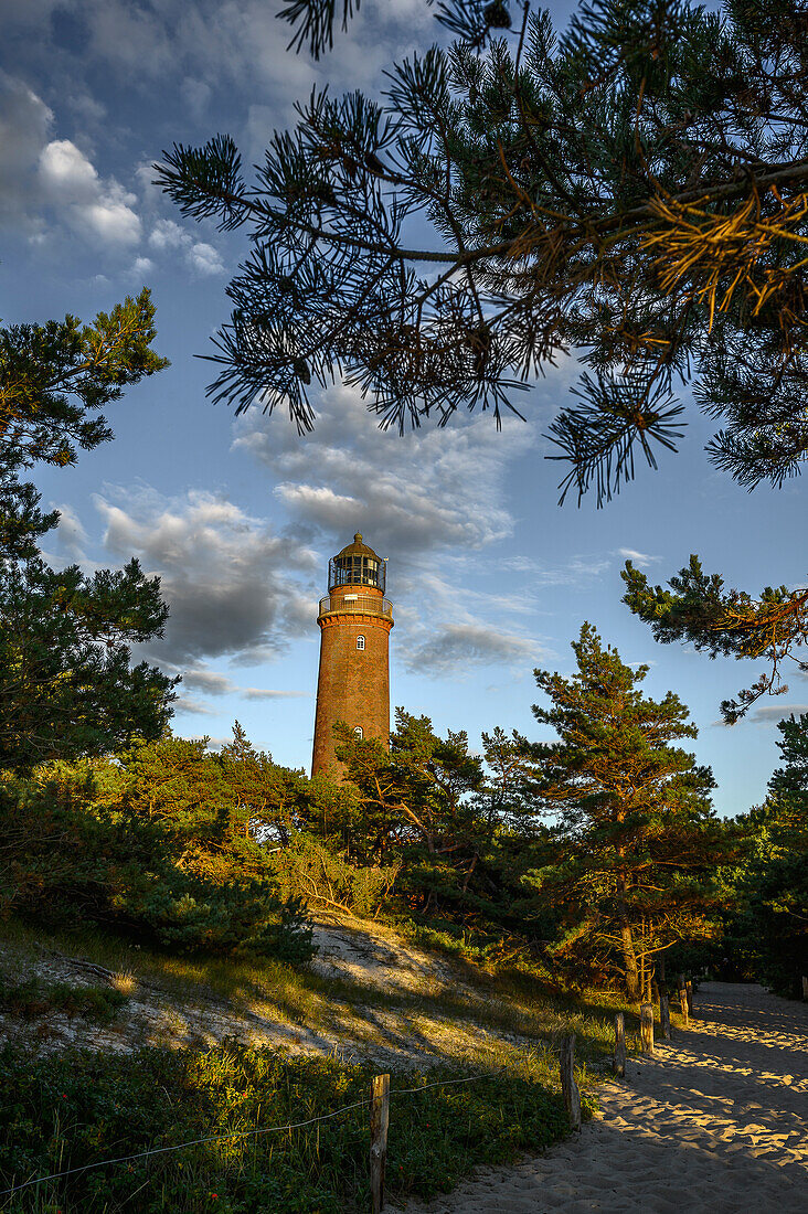 Küstenlandschaft vor Leuchtturm Darßer Ort, Halbinsel Darß, Ostseeküste, Mecklenburg-Vorpommern, Deutschland
