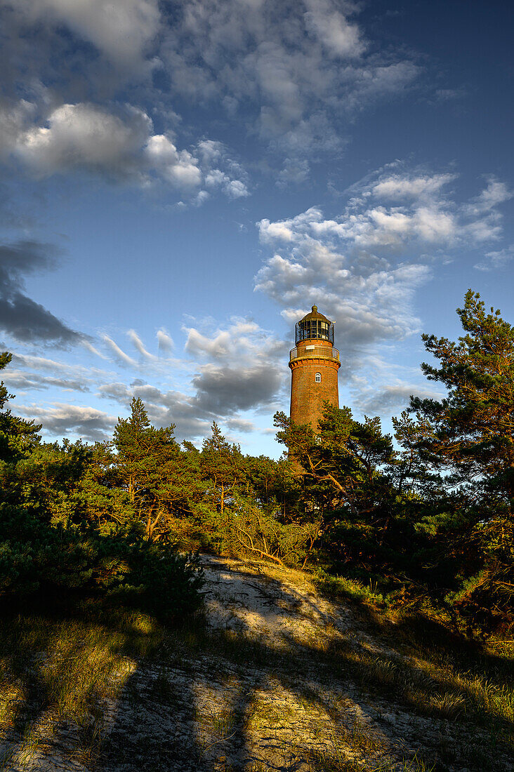 Wald und Sanddünen am Leuchtturm Darßer Ort, Halbinsel Darß, Ostseeküste, Mecklenburg-Vorpommern, Deutschland