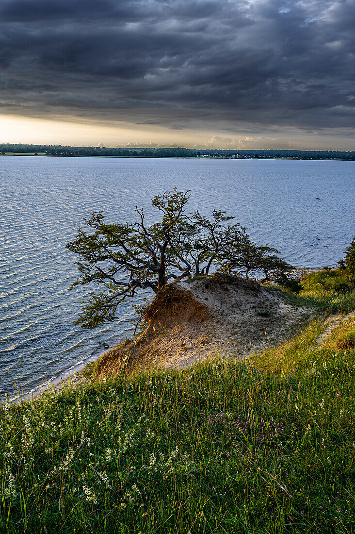  Stralsund: Devin peninsula nature reserve near Stralsund, Baltic Sea coast, Mecklenburg Western Pomerania Baltic Sea coast, Mecklenburg Western Pomerania 