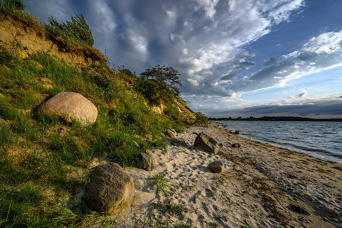  Stralsund: Devin peninsula nature reserve near Stralsund, Baltic Sea coast, Mecklenburg Western Pomerania Baltic Sea coast, Mecklenburg Western Pomerania 