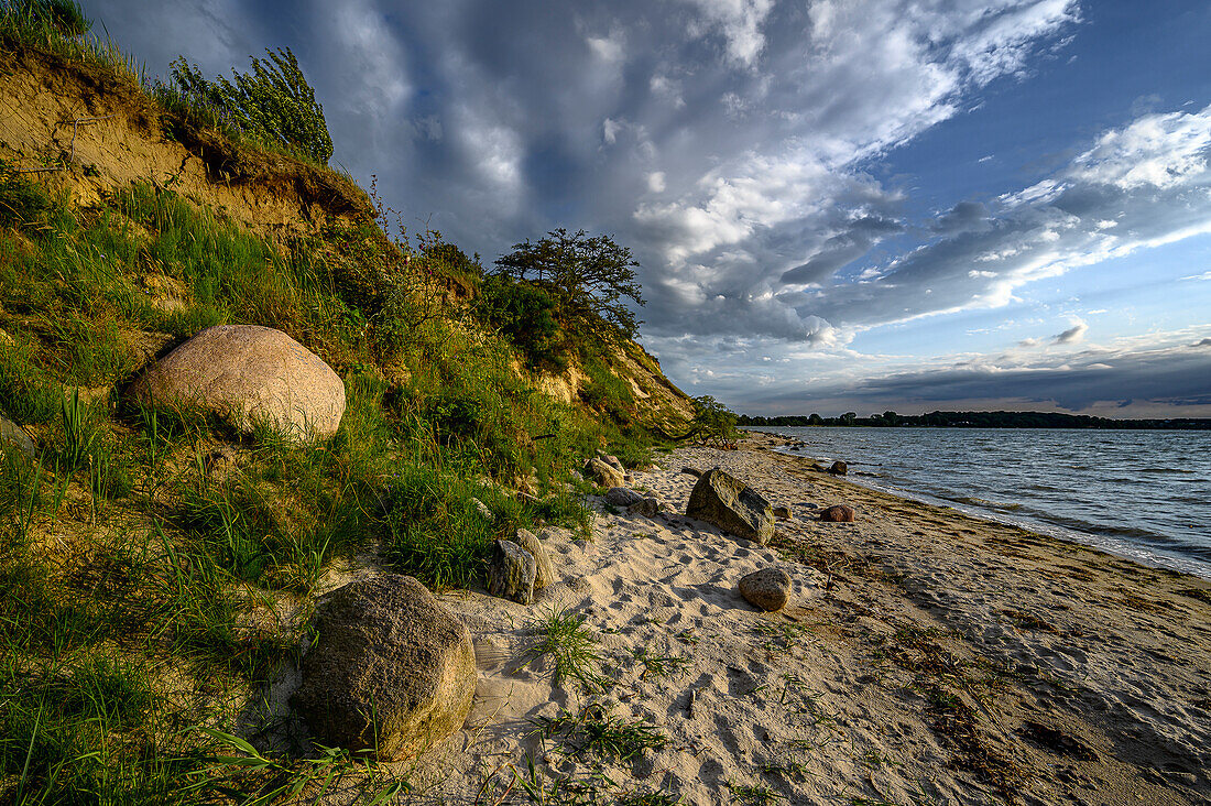 Naturschutzgebiet Halbinsel Devin bei Stralsund, Ostseeküste, Mecklenburg- Vorpommern, Deutschland