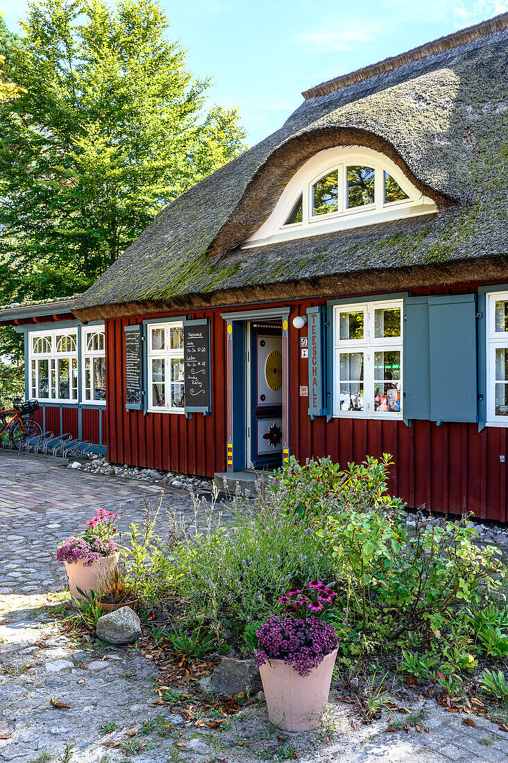  Cafe Tea Bowl, Prerow, Graal Müritz, Baltic Sea Coast, Mecklenburg Western Pomerania, Germany 