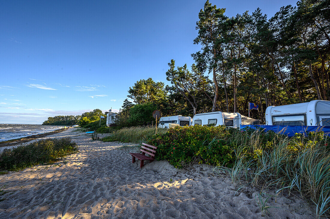  Pritzwald-Zudar campsite, Rügen, Baltic coast, Mecklenburg-Western Pomerania, Germany 