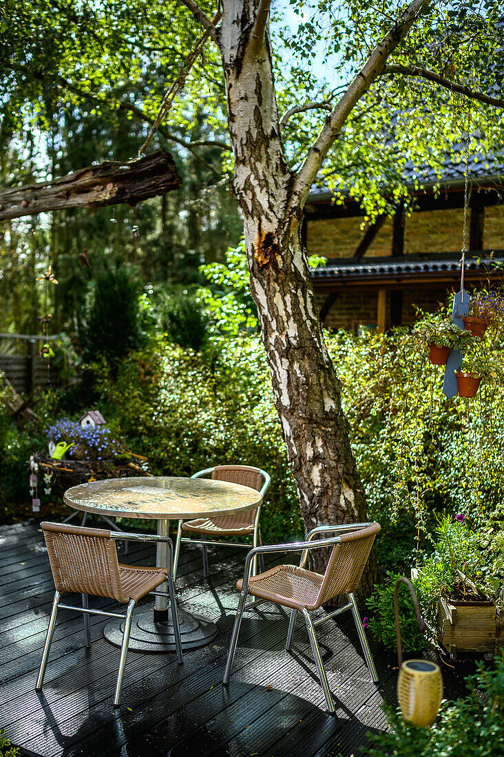 Garten im Cafe Klönstuw, Rieth am Stettiner Haff, Ostseeküste, Mecklenbur-Vorpommern, Deutschland
