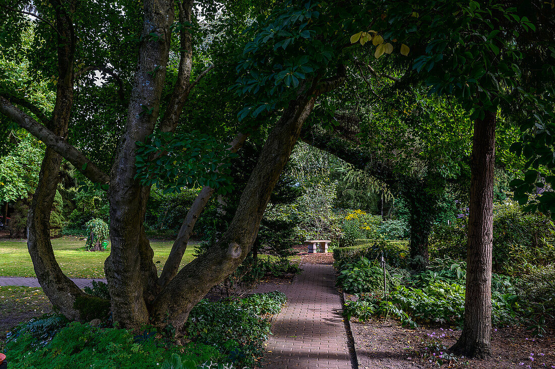 Botanischer-Garten Christiansberg bei Luckow, Stettiner Haff, Ostseeküste, Mecklenburg-Vorpommern, Deutschland