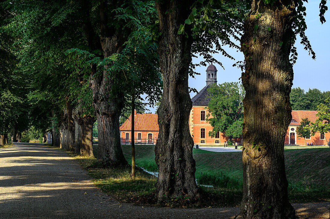  Alley of trees at Bothmer Castle, Klützer Winkel, Baltic Sea coast, Mecklenburg-Western Pomerania, Germany 