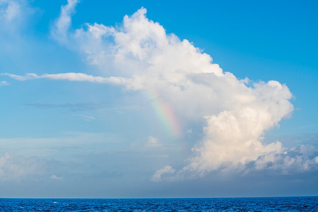  Rainbow, Caribbean Sea, Kralendijk, Bonaire, Lesser Antilles 
