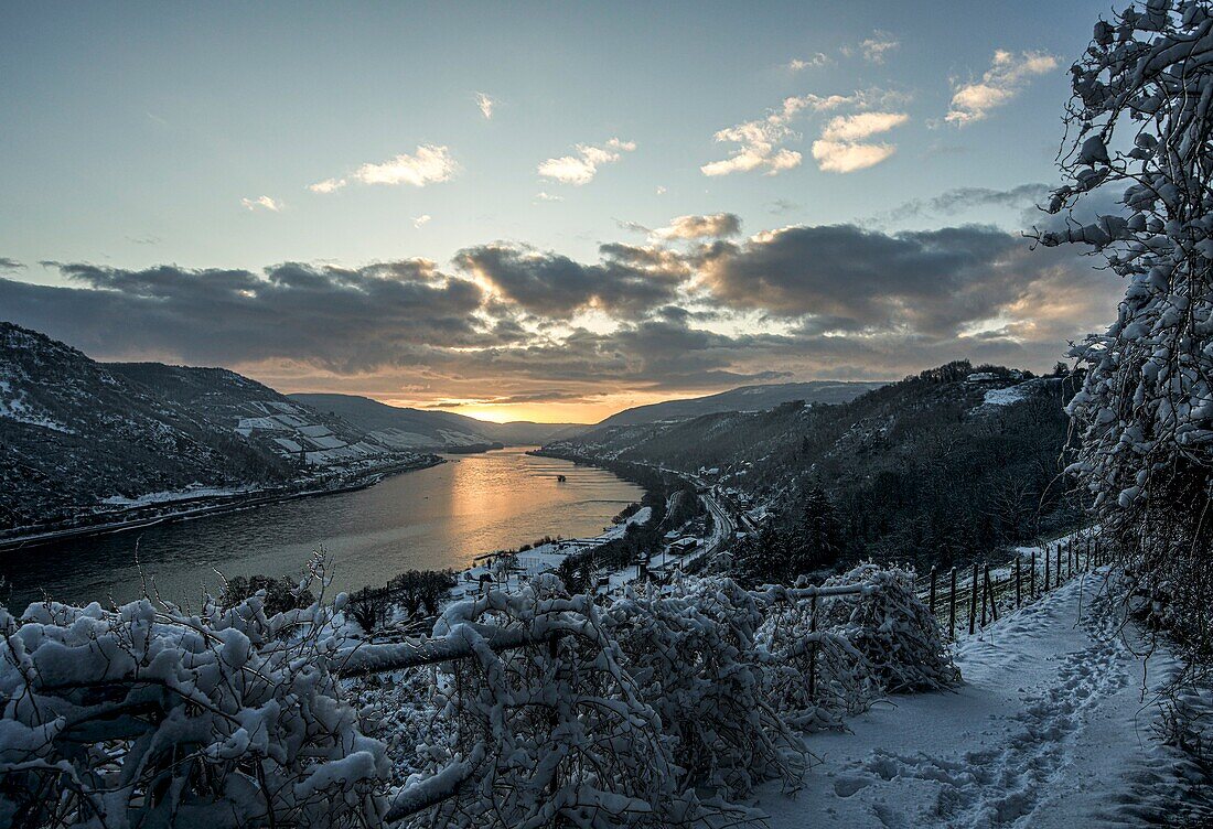  Wintry mood in the Rhine Valley at sunrise, seen from the Rheinburgenweg in Bacharach, Upper Middle Rhine Valley, Rhineland-Palatinate, Germany 