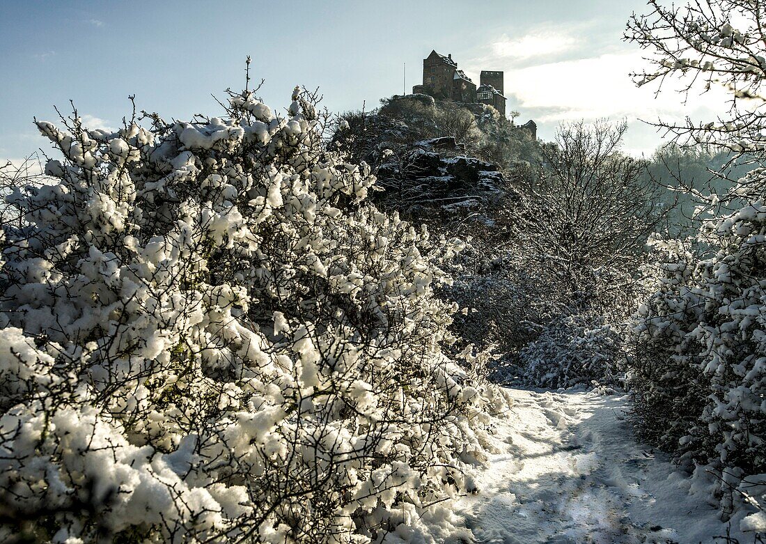 Bergpfad Elfenlay im Winter, im Hintergrund die Schönburg, Oberwesel, Oberes Mittelrheintal, Rheinland-Pfalz, Deutschland
