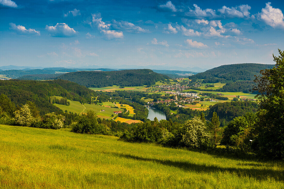 Hohentengen, Hochrhein, Rhein, Landkreis Waldshut, Südschwarzwald, Schwarzwald, Baden-Württemberg, Deutschland