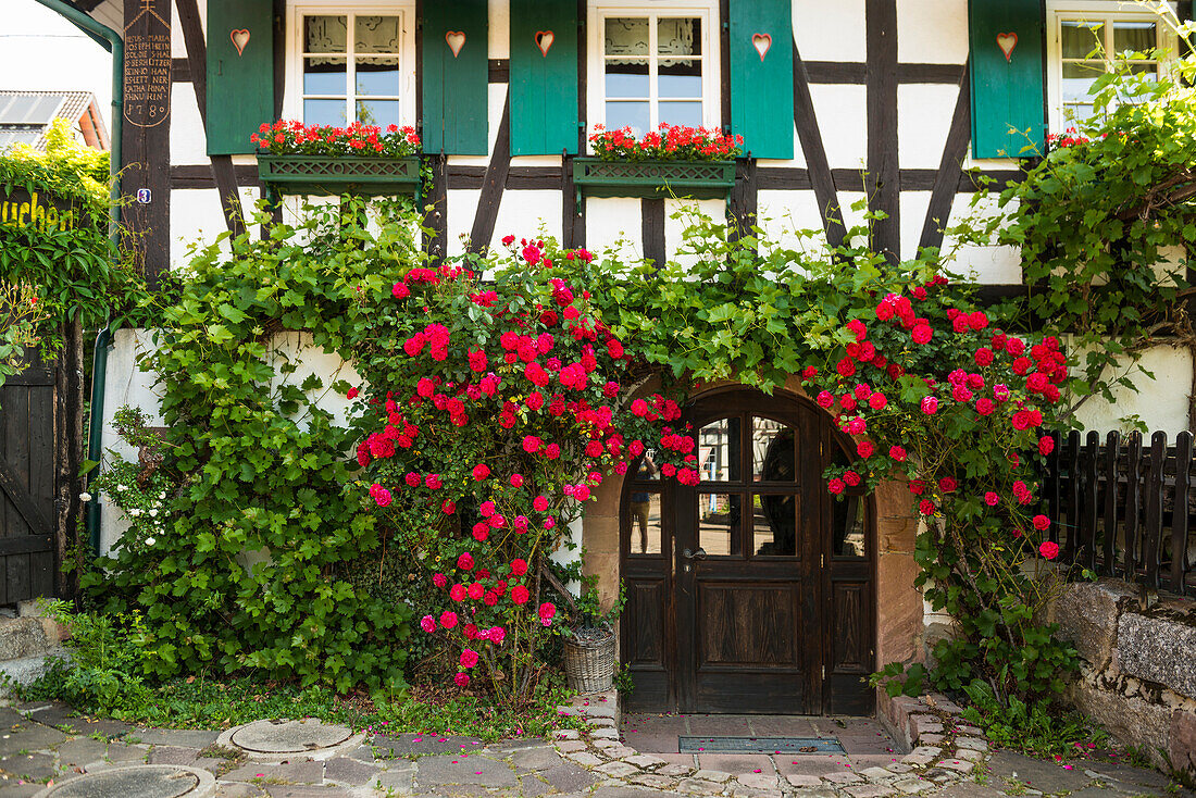  Inn, Sasbachwalden, Ortenau, Black Forest, Baden-Württemberg, Germany 