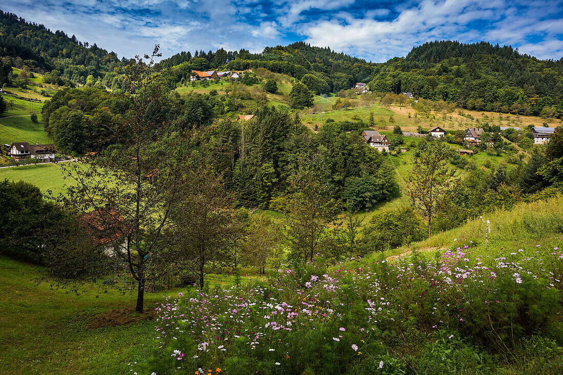  Mühlenweg, Ottenhöfen, Ortenau, Black Forest, Baden-Württemberg, Germany 