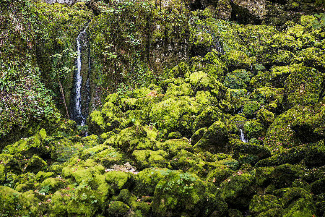  Source and waterfall, Source du Lison, Source of the Lison, Nans-sous-Sainte-Anne, Doubs department, Bourgogne-Franche-Comté, Jura, France 