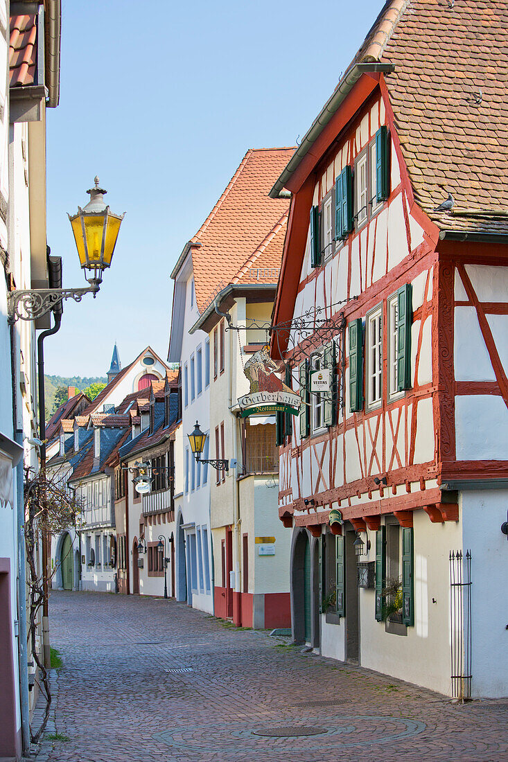  The Hintergasse in Neustadt an der Weinstrasse, Rhineland-Palatinate, Germany 