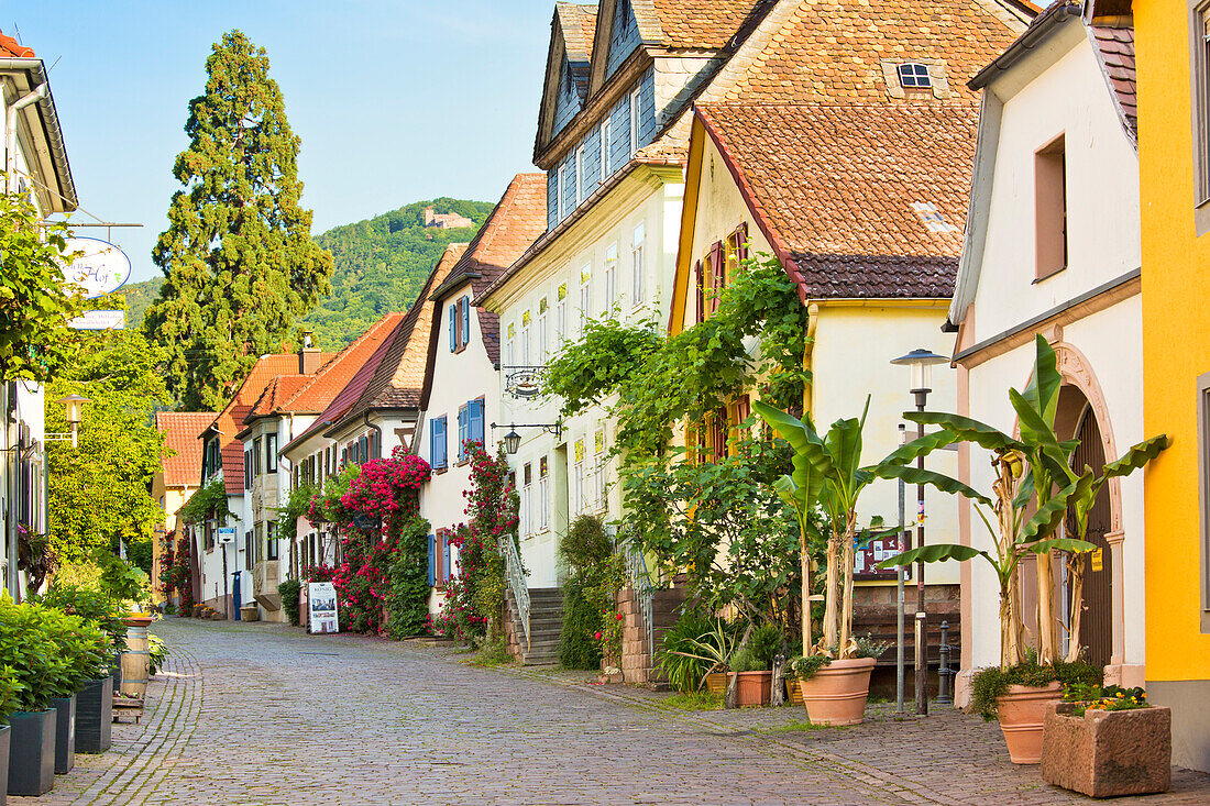 Die Theresienstraße unter der Rietburg, Rhodt, Rheinland-Pfalz, Deutschland